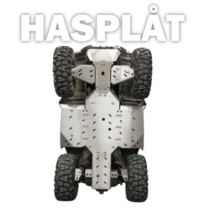 Hasplåt